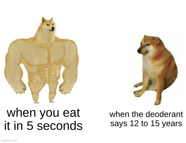 Buff Doge vs. Cheems Meme |  when you eat it in 5 seconds; when the deoderant says 12 to 15 years | image tagged in memes,buff doge vs cheems | made w/ Imgflip meme maker