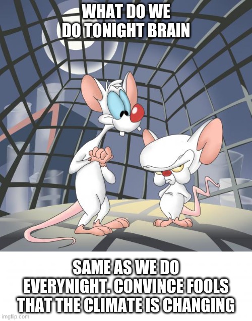climate change | WHAT DO WE DO TONIGHT BRAIN; SAME AS WE DO EVERYNIGHT. CONVINCE FOOLS THAT THE CLIMATE IS CHANGING | image tagged in pinky and the brain | made w/ Imgflip meme maker
