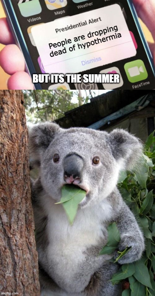People are dropping dead of hypothermia; BUT ITS THE SUMMER | image tagged in memes,presidential alert,surprised koala | made w/ Imgflip meme maker