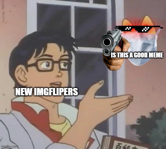 lol | IS THIS A GOOD MEME; NEW IMGFLIPERS | image tagged in memes,is this a pigeon | made w/ Imgflip meme maker