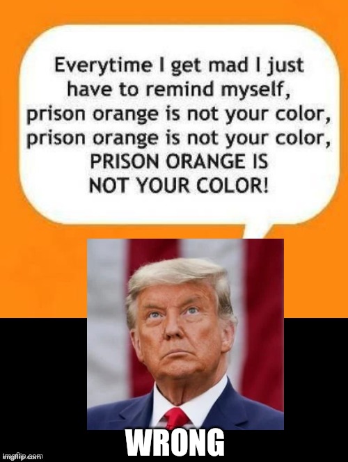 Looks Good in Orange | WRONG | image tagged in donald trump,prison,mad,funny,donald trump memes,you can't fool all of the people all of the time | made w/ Imgflip meme maker