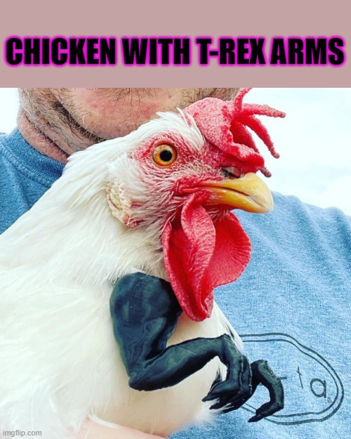 CHICKEN WITH T-REX ARMS | made w/ Imgflip meme maker
