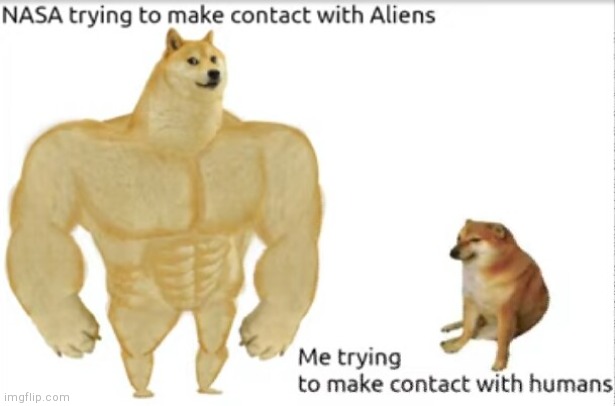 Why is it so hard | image tagged in buff doge vs cheems | made w/ Imgflip meme maker