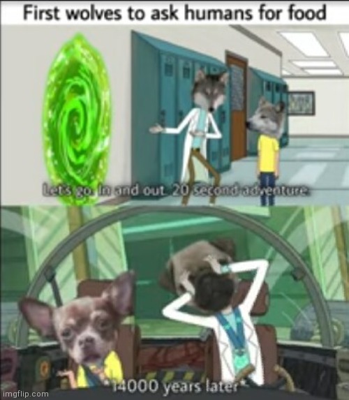 Rick and morty fits with everything | image tagged in rick and morty,wolves,dogs | made w/ Imgflip meme maker