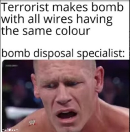 image tagged in bomb disposal specialist | made w/ Imgflip meme maker