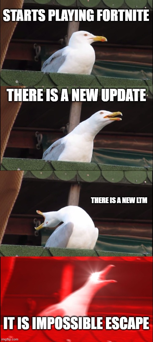 New ltm, new fun | STARTS PLAYING FORTNITE; THERE IS A NEW UPDATE; THERE IS A NEW LTM; IT IS IMPOSSIBLE ESCAPE | image tagged in memes,inhaling seagull | made w/ Imgflip meme maker