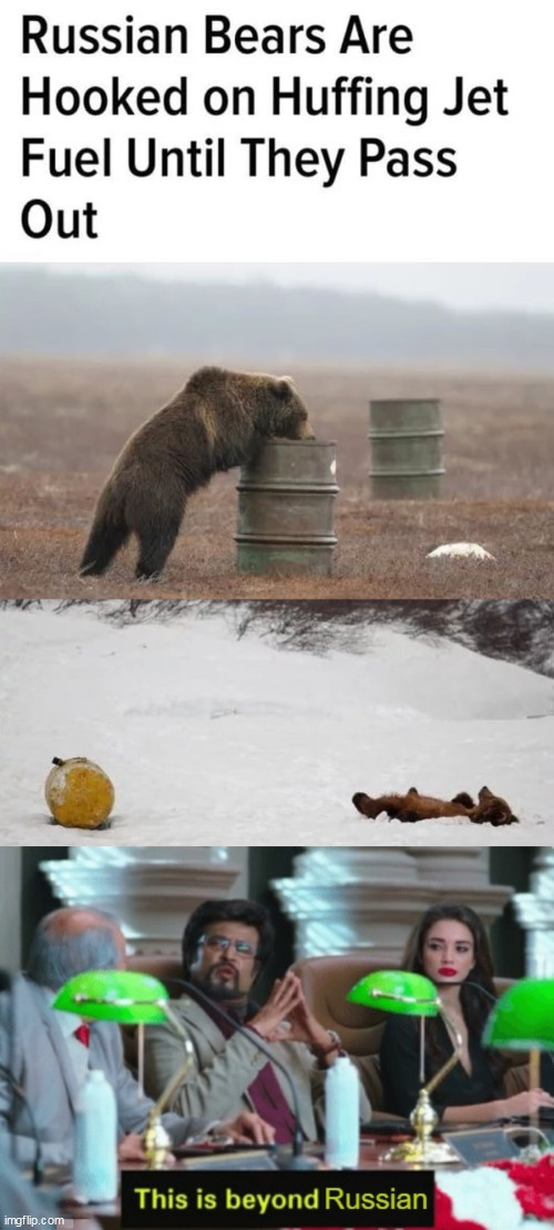Blyad', they've been watching the soldiers on the base | image tagged in beyond russian,bears,drunk russian | made w/ Imgflip meme maker