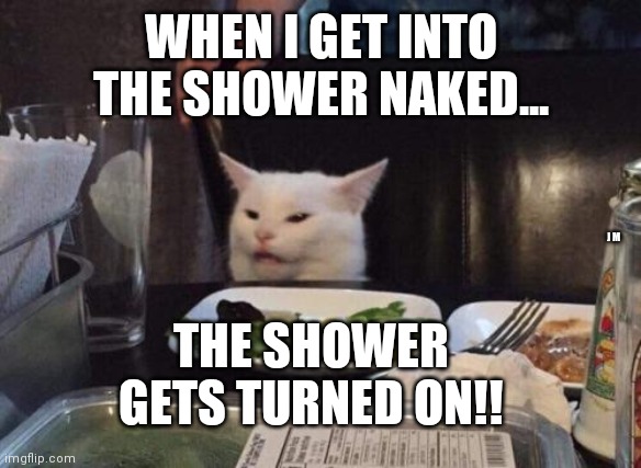 Salad cat | WHEN I GET INTO THE SHOWER NAKED... THE SHOWER GETS TURNED ON!! J M | image tagged in salad cat | made w/ Imgflip meme maker