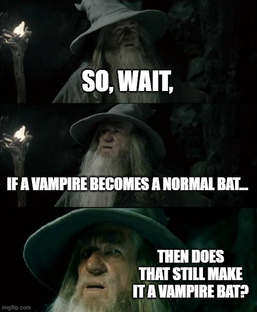 Vampire Bat? | SO, WAIT, IF A VAMPIRE BECOMES A NORMAL BAT... THEN DOES THAT STILL MAKE IT A VAMPIRE BAT? | image tagged in memes,confused gandalf | made w/ Imgflip meme maker