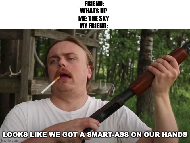 smart-ass on our hands | FRIEND: WHATS UP
ME: THE SKY
MY FRIEND: | image tagged in smart-ass on our hands | made w/ Imgflip meme maker