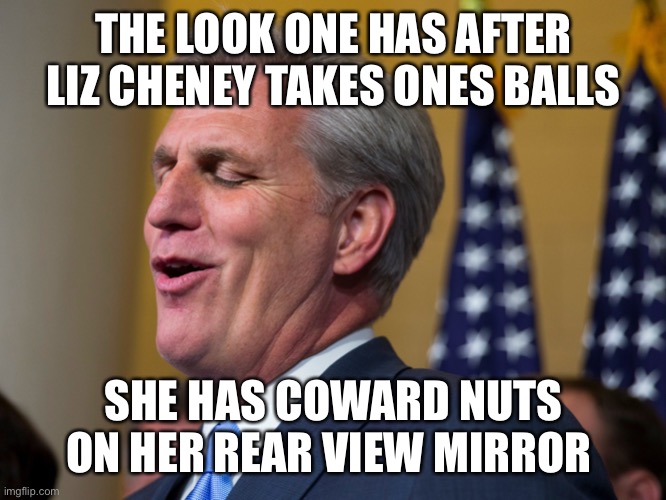 Kevin McCarthy | THE LOOK ONE HAS AFTER LIZ CHENEY TAKES ONES BALLS; SHE HAS COWARD NUTS ON HER REAR VIEW MIRROR | image tagged in kevin mccarthy | made w/ Imgflip meme maker