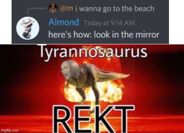 Do you get it? | image tagged in tyrannosaurus rekt,memes | made w/ Imgflip meme maker