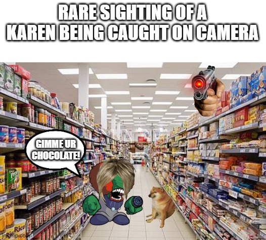 grocery aisle | RARE SIGHTING OF A KAREN BEING CAUGHT ON CAMERA; GIMME UR CHOCOLATE! | image tagged in grocery aisle | made w/ Imgflip meme maker