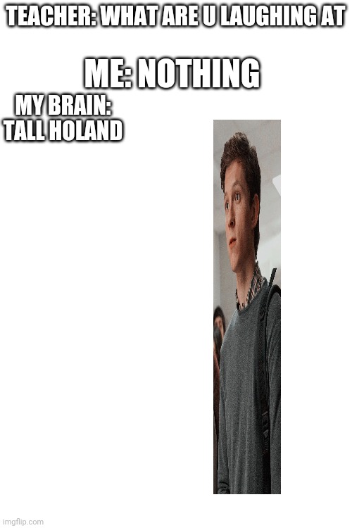 Idk what this is. Is it good? | TEACHER: WHAT ARE U LAUGHING AT; ME: NOTHING; MY BRAIN: TALL HOLAND | image tagged in blank white template | made w/ Imgflip meme maker