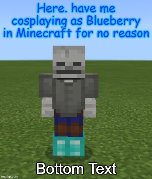 this is what I do in my spare time | Here. have me cosplaying as Blueberry in Minecraft for no reason; Bottom Text | image tagged in undertale,minecraft,cosplay,blueberry,sans,underswap | made w/ Imgflip meme maker
