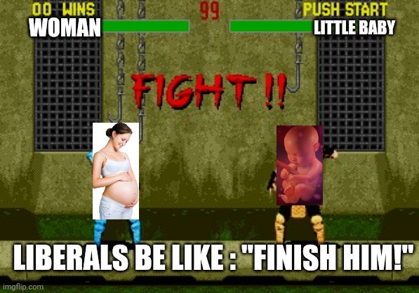 Liberals vs tiny babies | LITTLE BABY; WOMAN; LIBERALS BE LIKE : "FINISH HIM!" | image tagged in fight | made w/ Imgflip meme maker