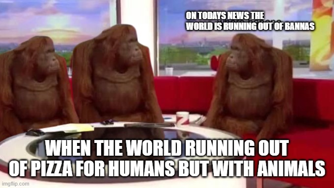where banana | ON TODAYS NEWS THE WORLD IS RUNNING OUT OF BANNAS; WHEN THE WORLD RUNNING OUT OF PIZZA FOR HUMANS BUT WITH ANIMALS | image tagged in where banana | made w/ Imgflip meme maker