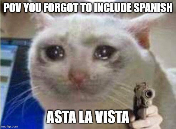 Sad cat with gun | POV YOU FORGOT TO INCLUDE SPANISH ASTA LA VISTA | image tagged in sad cat with gun | made w/ Imgflip meme maker