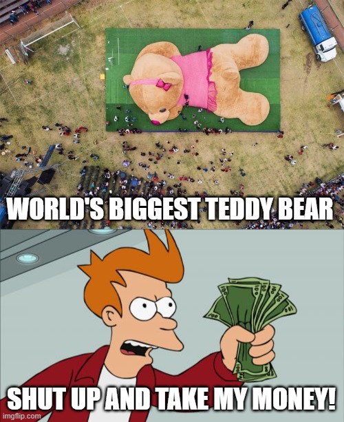 Yes, Those dots are PEOPLE! | WORLD'S BIGGEST TEDDY BEAR; SHUT UP AND TAKE MY MONEY! | image tagged in memes,shut up and take my money fry,not lgbt,it's just really cool,teddy bear,real life | made w/ Imgflip meme maker