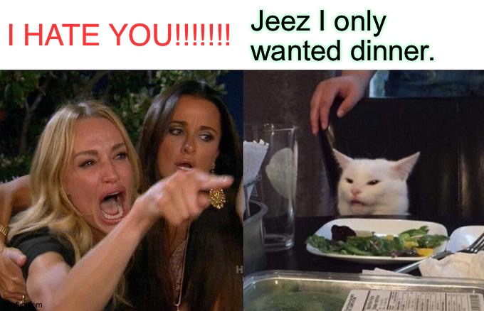 Woman Yelling At Cat | I HATE YOU!!!!!!! Jeez I only wanted dinner. | image tagged in memes,woman yelling at cat | made w/ Imgflip meme maker