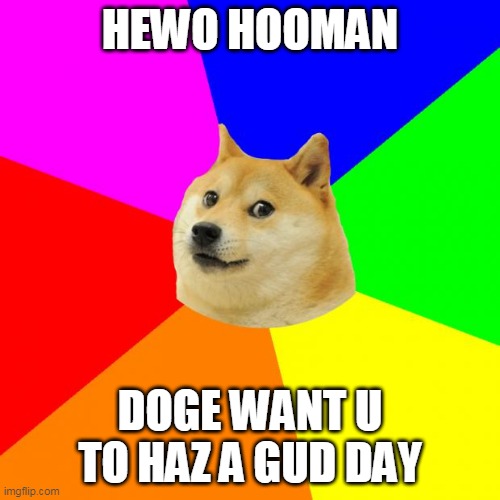 doge :D |  HEWO HOOMAN; DOGE WANT U TO HAZ A GUD DAY | image tagged in memes,advice doge | made w/ Imgflip meme maker