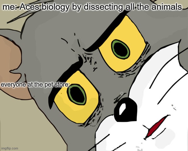 hmm | me: Aces biology by dissecting all the animals; everyone at the pet store:                                                                                                          . | image tagged in memes,unsettled tom | made w/ Imgflip meme maker