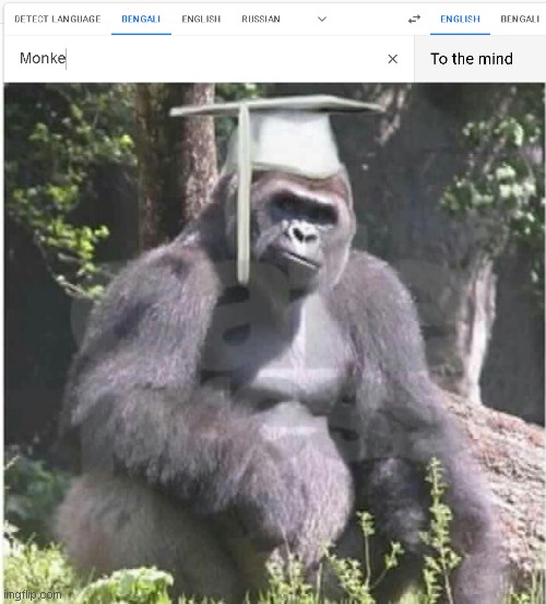 To the mind | image tagged in smart monkey,memes,monke,google translate | made w/ Imgflip meme maker