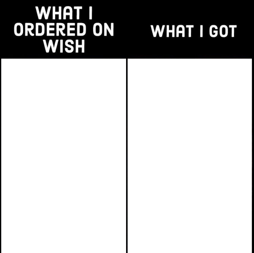 what I ordered on wish and what I got Blank Meme Template