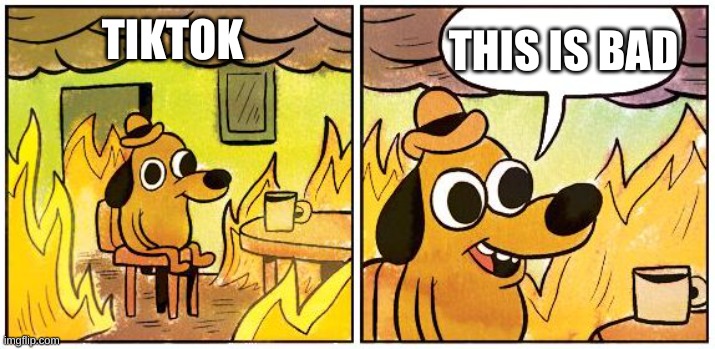 This is Fine (Blank) | THIS IS BAD; TIKTOK | image tagged in this is fine blank | made w/ Imgflip meme maker