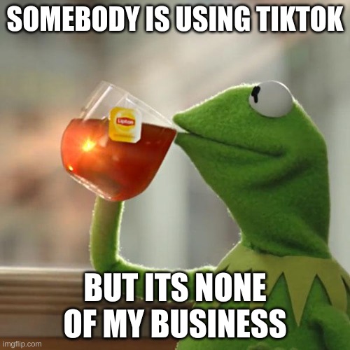 But That's None Of My Business Meme | SOMEBODY IS USING TIKTOK; BUT ITS NONE OF MY BUSINESS | image tagged in memes,but that's none of my business,kermit the frog | made w/ Imgflip meme maker
