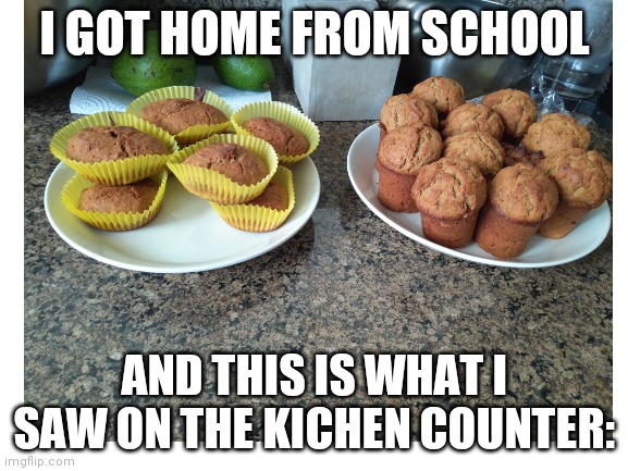 Yummy food | I GOT HOME FROM SCHOOL; AND THIS IS WHAT I SAW ON THE KICHEN COUNTER: | image tagged in yummy | made w/ Imgflip meme maker