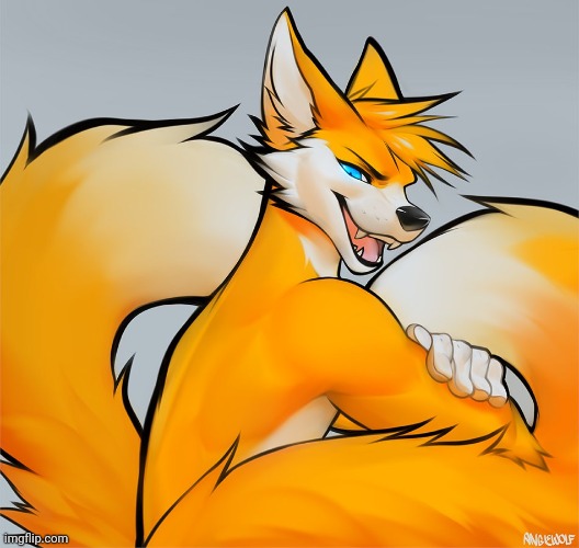 NOT MINE (Signature of artist on bottom right) | image tagged in sonic,tails the fox,anthro,hot,kinda nsfw,male | made w/ Imgflip meme maker