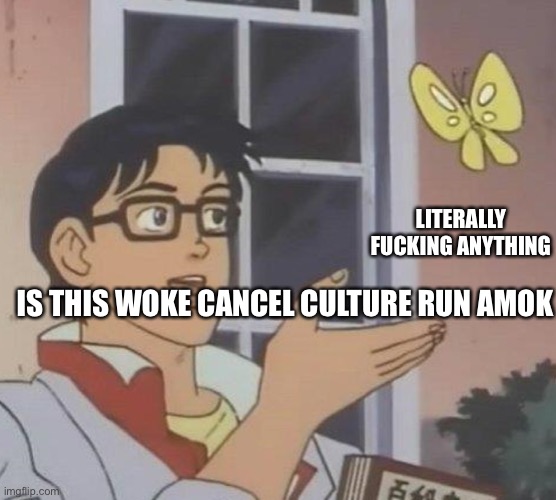 is this butterfly | LITERALLY FUCKING ANYTHING; IS THIS WOKE CANCEL CULTURE RUN AMOK | image tagged in is this butterfly | made w/ Imgflip meme maker