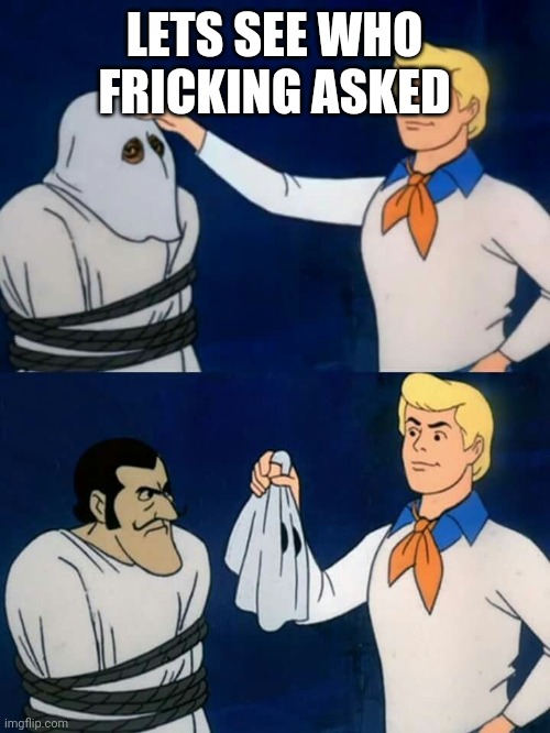 Finding Out Who Asked | LETS SEE WHO FRICKING ASKED | image tagged in scooby doo mask reveal | made w/ Imgflip meme maker