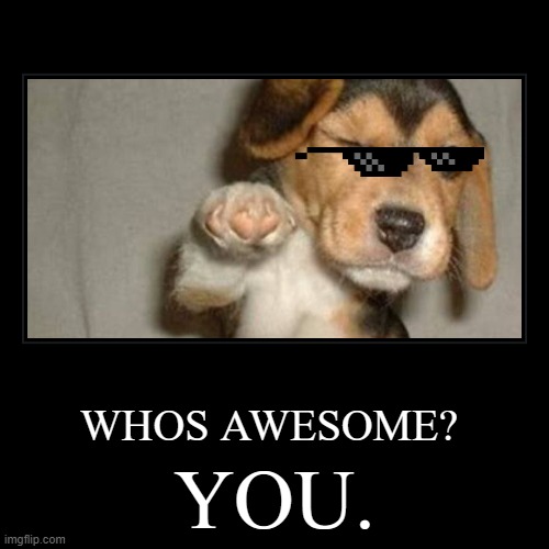 Whos Awesome? | image tagged in funny,demotivationals,memes,dog,deal with it,whos awesome | made w/ Imgflip demotivational maker