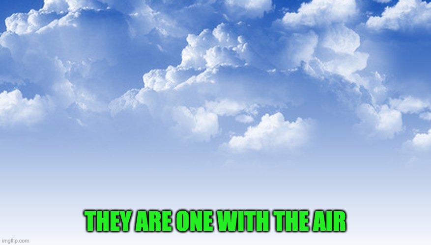 THEY ARE ONE WITH THE AIR | made w/ Imgflip meme maker