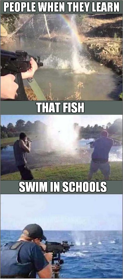 Americans Love 'School' Shooting ! | PEOPLE WHEN THEY LEARN; THAT FISH; SWIM IN SCHOOLS | image tagged in fish,school shooting,dark humour | made w/ Imgflip meme maker