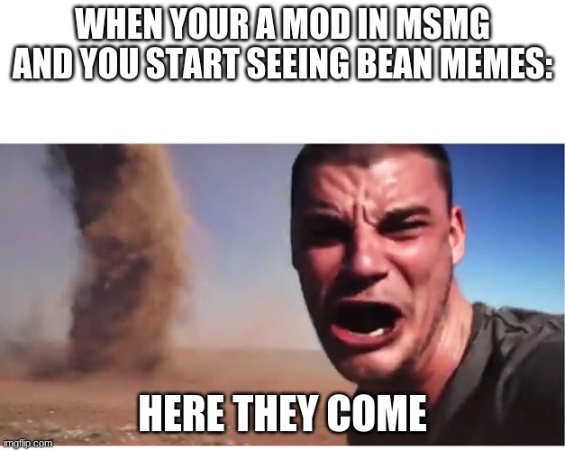 Look here they come! | WHEN YOUR A MOD IN MSMG AND YOU START SEEING BEAN MEMES:; HERE THEY COME | image tagged in look here they come | made w/ Imgflip meme maker