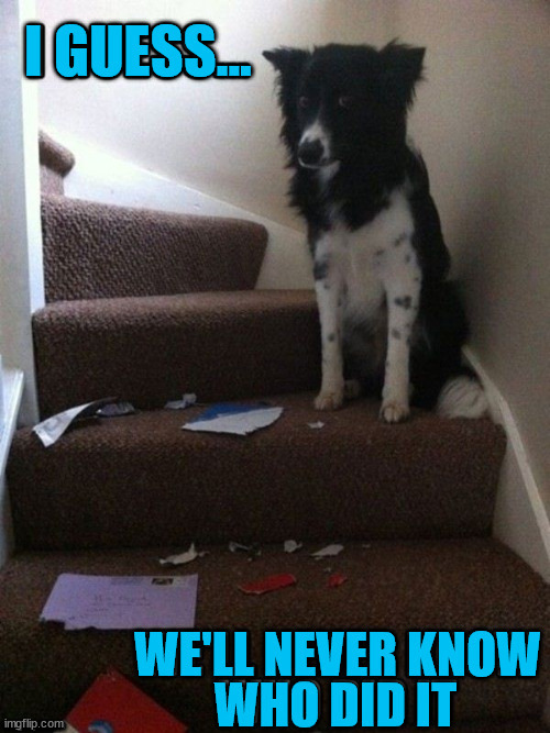 .......... | image tagged in dogs | made w/ Imgflip meme maker