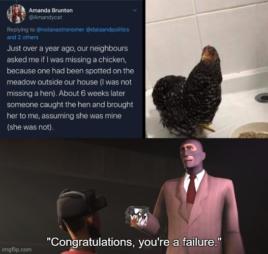 She was not missing a hen. | image tagged in congratulations you're a failure,chicken,you had one job,memes,chickens,meme | made w/ Imgflip meme maker