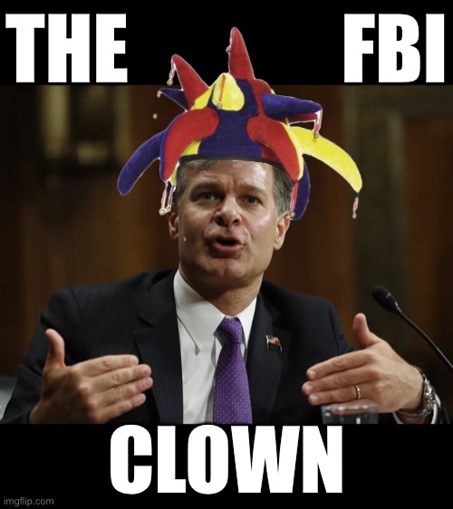 Christopher Wray—a clown! | THE              FBI; CLOWN | image tagged in fbi,intelligence,us government,government corruption,evil government,scumbag government | made w/ Imgflip meme maker