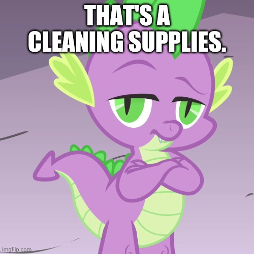 Disappointed Spike (MLP) | THAT'S A CLEANING SUPPLIES. | image tagged in disappointed spike mlp | made w/ Imgflip meme maker