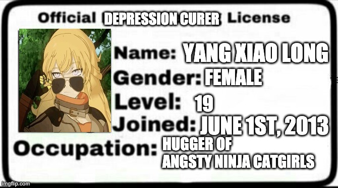 Meme Stealing License | DEPRESSION CURER; YANG XIAO LONG; FEMALE; 19; JUNE 1ST, 2013; HUGGER OF ANGSTY NINJA CATGIRLS | image tagged in meme stealing license,rwby | made w/ Imgflip meme maker