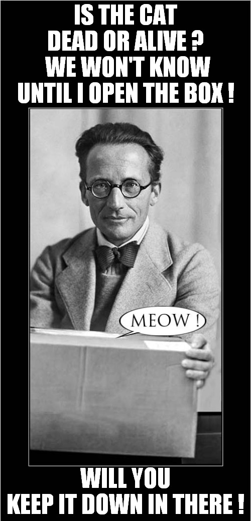 Schrödinger Experiment Failure | IS THE CAT DEAD OR ALIVE ?
 WE WON'T KNOW UNTIL I OPEN THE BOX ! WILL YOU KEEP IT DOWN IN THERE ! | image tagged in schrodinger,it's alive,cat | made w/ Imgflip meme maker