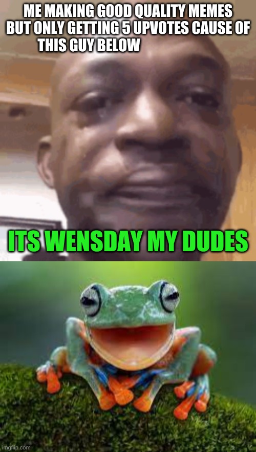 Only Redditors will understand | ME MAKING GOOD QUALITY MEMES BUT ONLY GETTING 5 UPVOTES CAUSE OF THIS GUY BELOW; ITS WENSDAY MY DUDES | image tagged in frog | made w/ Imgflip meme maker