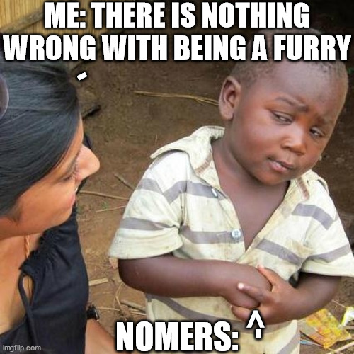 Third World Skeptical Kid | ME: THERE IS NOTHING WRONG WITH BEING A FURRY; -; NOMERS:; -> | image tagged in memes,third world skeptical kid | made w/ Imgflip meme maker