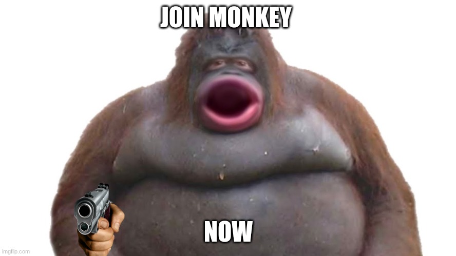 monkey | JOIN MONKEY; NOW | image tagged in monkey,meme | made w/ Imgflip meme maker