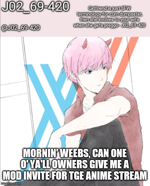 Reason: idk XD | MORNIN' WEEBS, CAN ONE O' YA'LL OWNERS GIVE ME A MOD INVITE FOR TGE ANIME STREAM | image tagged in j02_69-420 announcement template | made w/ Imgflip meme maker