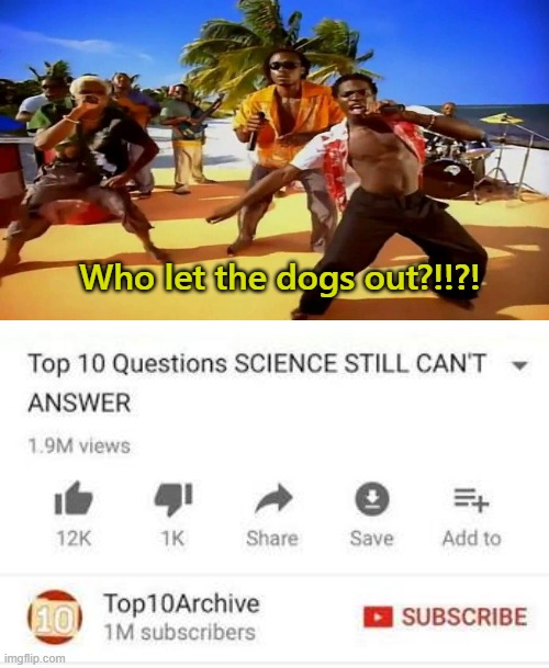 Top 10 questions Science still can't answer | Who let the dogs out?!!?! | image tagged in top 10 questions science still can't answer | made w/ Imgflip meme maker