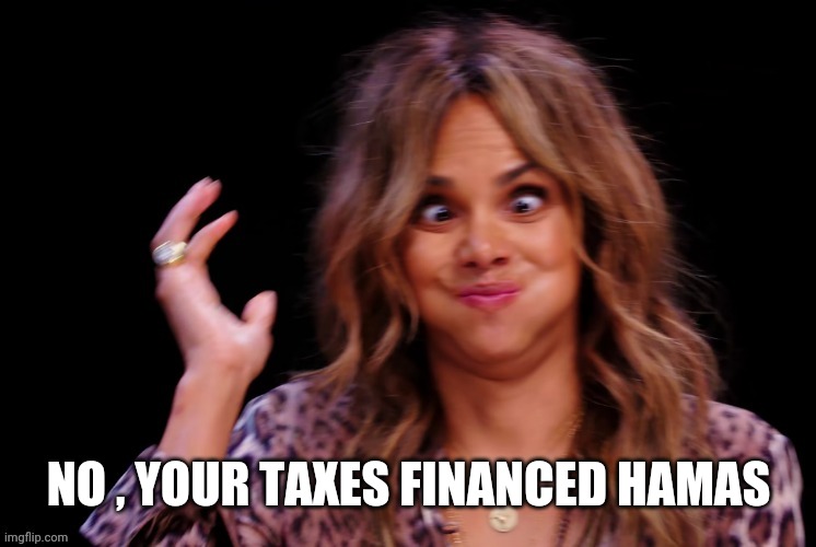 Boof ! | NO , YOUR TAXES FINANCED HAMAS | image tagged in boof | made w/ Imgflip meme maker